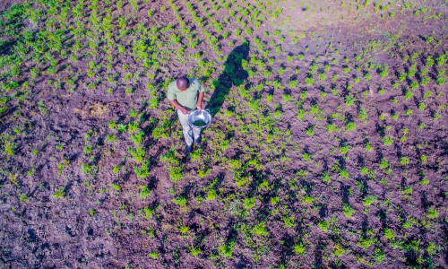 DJI 0021